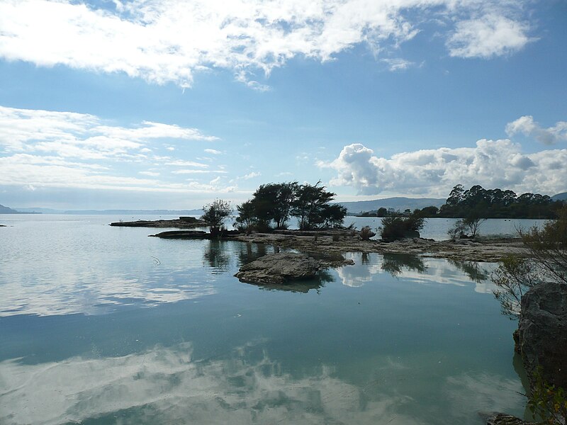 File:LakeRotorua.jpg