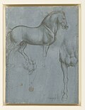Thumbnail for Leonardo's horse