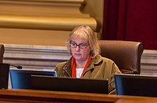 Lisa Goodman, Minneapolis Anggota Dewan Kota (23731583776).jpg