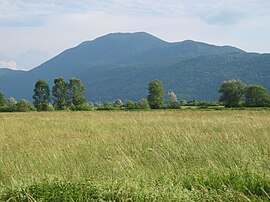 Ljubljansko barje2.JPG