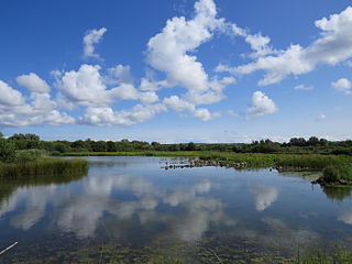 <span class="mw-page-title-main">WWT Llanelli Wetlands Centre</span> Nature reserve in South Wales