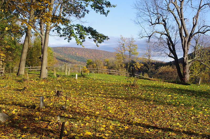 File:Looking North from Wilder Cemetery, Fall 2013.JPG