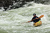 Malalta stego Youghiogheny River Ohiopyle, PA.jpg