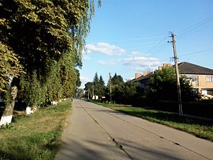 Lozove street.jpg