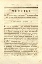 Gambar mini seharga Berkas:Mémoire sur le genre et les espèces de Vespertilion, l'un des genres de la famille des chauve-souris (IA biostor-135512).pdf