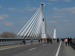 The Ferenc Mora Bridge on the M43 Motorway near Szeged Mora Ferenc hid 01.JPG