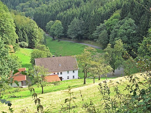 Mühlenbachtal (2)