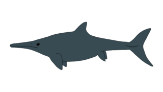 <i>Magnipterygius</i> Species of ichthyosaur