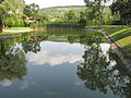 Lago en la parko