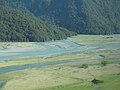 The Makarora River near West Makarora township