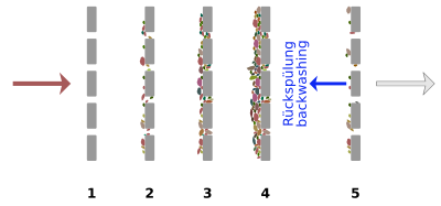 Fouling of a membrane in different steps 1-5. 1) virgin membrane 2) pore narrowing 3) pore blocking 4) cake layer formation 5) cleaned membrane Membranfouling.svg