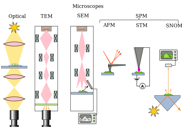 Types of microscopes illustrated by the principles of their beam paths