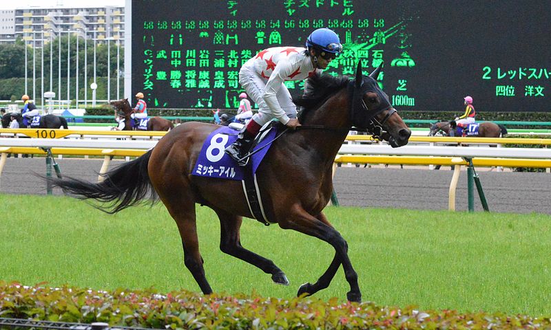 File:Mikki-Isle Yasuda-kinen 2014.jpg