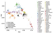 Principal Component Analysis of ancient and modern populations Palestinians, Jews and others showing Palestinians clustering with Bronze-Age Levant Modern and Ancient populations PCA plot.jpg