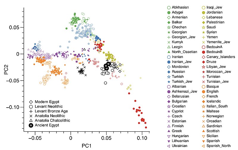 File:Modern and Ancient populations PCA plot.jpg
