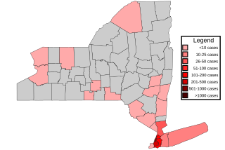 <span class="mw-page-title-main">2022 monkeypox outbreak in New York (state)</span> Ongoing viral outbreak