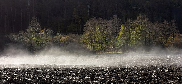 Morning mist lifting from plowed field