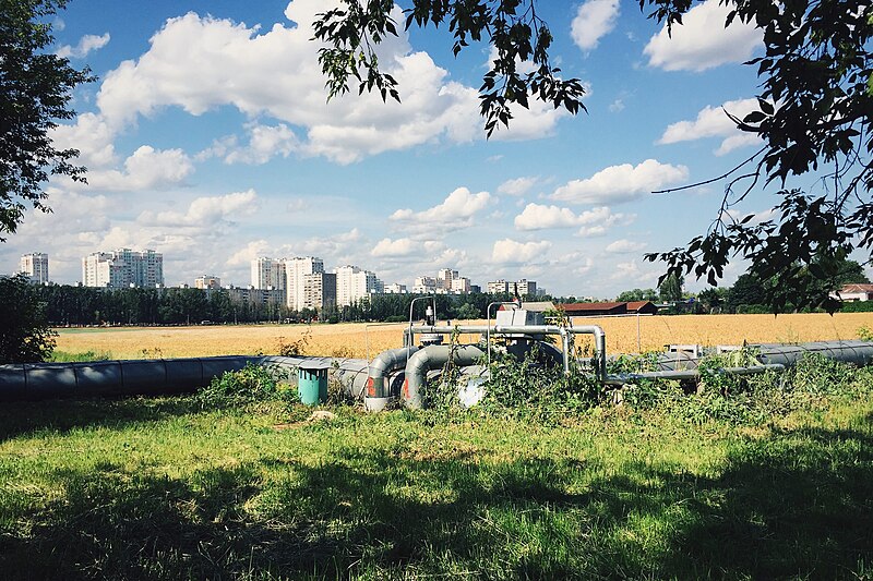 File:Moscow, fields of the Timiryazev Academy (21237219392).jpg