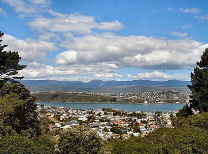 How to get to Hataitai with public transport- About the place