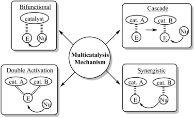 Classification of multicatalyst mechanism