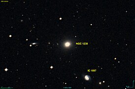 NGC 1238 DSS.jpg