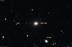 NGC 1238 DSS.jpg