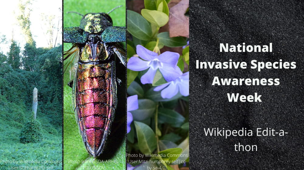 National Invasive Species Awareness Week Wikipedia Edit-a-thon