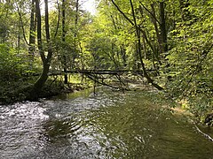 Dhünn bei Schöllerhof