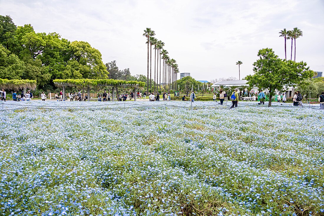 大阪市立長居植物園