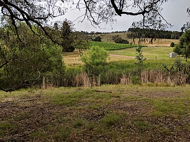 Nanima, New South Wales, 2.jpg