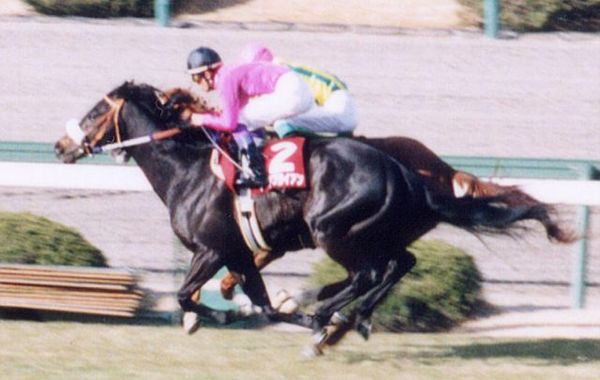 Hanshin Daishōten (March 9, 1996)