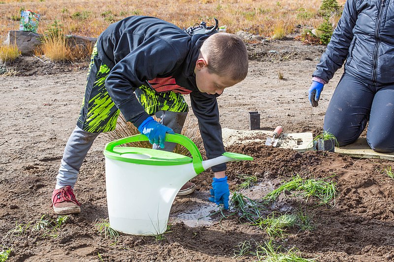 File:National Public Lands Day 2015 at Mount Rainier National Park, 067.jpg