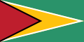 Pabellón de Guyana, el mismo diseño que su bandera, pero en proporciones 1:2.
