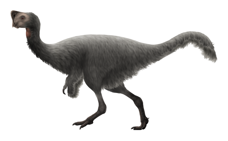 File:Nemegtomaia Restoration.png