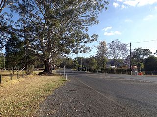 <span class="mw-page-title-main">Hampton, Queensland</span> Town in Queensland, Australia