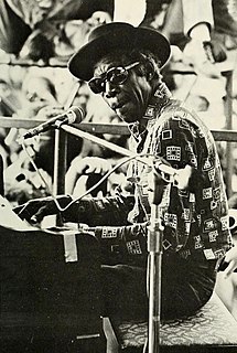 Professor Longhair American blues musician (1918–1980)