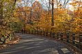 * Nomination Autumn foliage in New York Botanical Garden. --King of Hearts 03:39, 16 September 2016 (UTC) * Promotion Beautiful. Wish I could walk that charming alley. Good quality. --Johann Jaritz 03:45, 16 September 2016 (UTC)