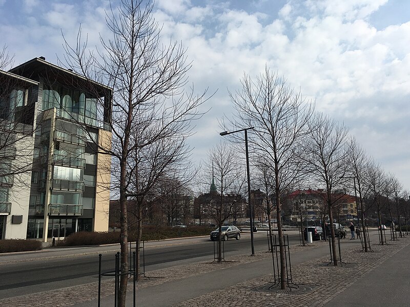 File:New trees by new buildings (44849151684).jpg