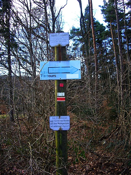 File:No Horses,No Dogs, Roadrunners Only ...Mäp Mäp.... - panoramio.jpg