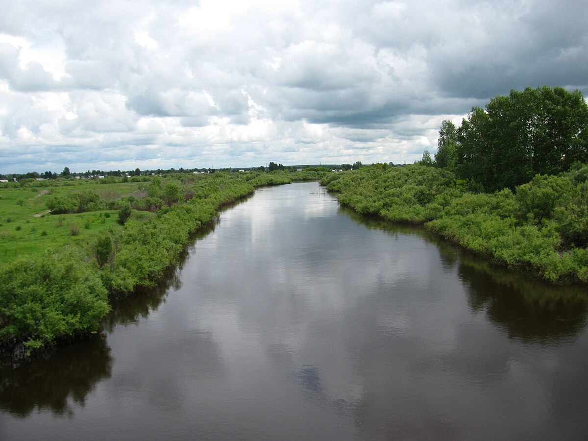 Река Омь Новосибирской области