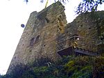 Ruine Falkenstein (Schramberg)