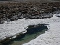 Mare verte entourée de rejet blanc.