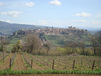 The Orvieto region in Umbria where Drupeggio is grown. Orvieto vue1.JPG