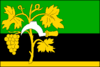 Vlajka města Oslavany