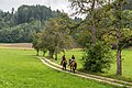 * Nomination Horse riding on Gaisrückenstrasse «Am Kåte» in Winklern, Pörtschach am Wörther See, Carinthia, Austria -- Johann Jaritz 03:21, 1 September 2019 (UTC) * Promotion Good quality. --Seven Pandas 03:23, 1 September 2019 (UTC)