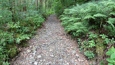 Gravel stream beds in Germany