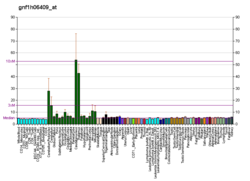 PBB GE SYNPR gnf1h06409 в формате fs.png