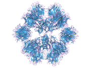 1otz​: Kristalna struktura BAFF-BAFF-R kompleksa (deo I)