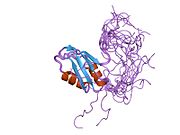 PDB 1wf2 EBI.jpg