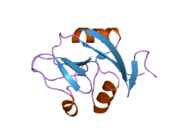 2c6u: ساختار کریستالی CLEC-2 (CLEC1B) انسان